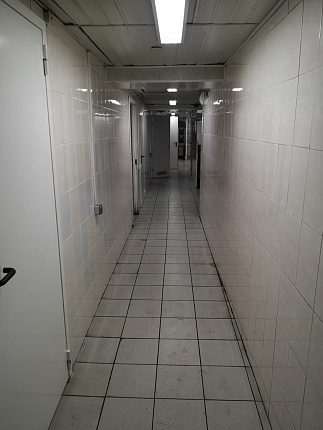 коридор в подвале